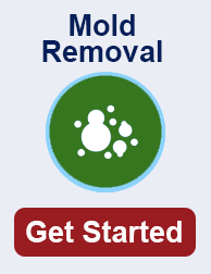 mold remediation in Palm Desert TN